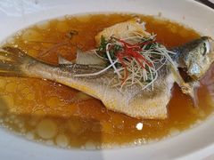 -骏莱海鲜鱼港(五角场店)