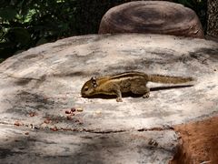 -洛阳白云山景区
