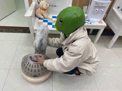 -瑞鹏宠物医院·夜间急症·心超·猫科(祖庙分店)