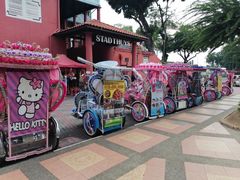 -马六甲鸡场街