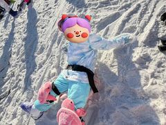 -蓟洲国际滑雪场