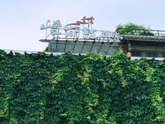 -慢丽江·云南野生菌土鸡锅(付家庄店)