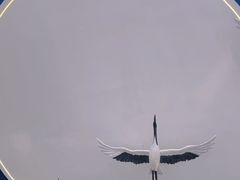 -盐城丹顶鹤湿地生态旅游区