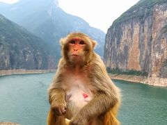 -白帝城·瞿塘峡景区