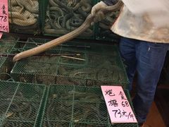 -荔城生鲜盛宴(番禺旗舰店)