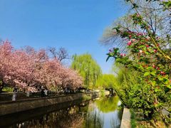 -元大都城垣遗址公园