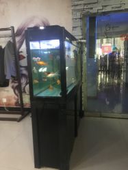 -宫铭烫发染发接发店