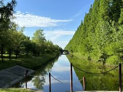 -黄海国家森林公园