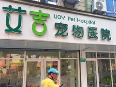 -艾吉宠物医院·疑难杂症转诊中心·猫友好(碧江路院)