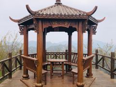 -大岭沟猕猴桃谷风景区