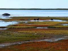 -青海湖国家重点风景名胜区