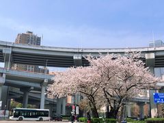 -南浦大桥长途旅游客运站
