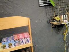 -壹迦桌游·血染钟楼剧本杀狼人杀