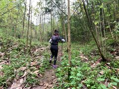 -天坑地缝国家地质公园-停车场