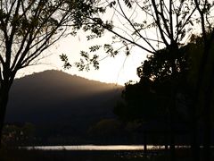 -长广溪湿地公园
