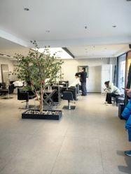 -付军剪艺JF ProSalon