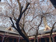 -伪满皇宫博物院