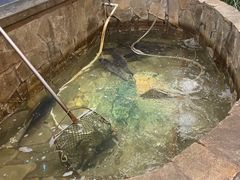 -井水小厨·湘菜(活力广场店)