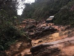 -霍顿平原国家公园