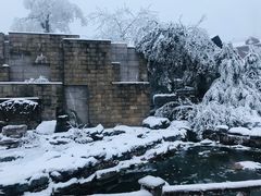 -江南天池高山汤泉城
