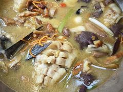 -抚仙湖野生菌石锅鱼(腾冲总店)