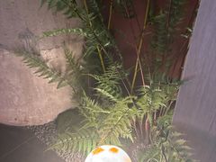 -茗知道茶馆(世博源店)