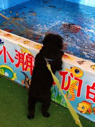 -萌宠亲子动物乐园(槐房万达店)