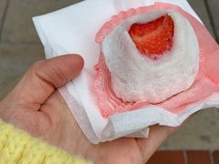 -澳门长洲糯米糍(柯打苏沙街店)
