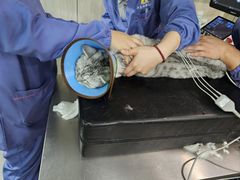 -半岛宠物医院24小时(科华中路店)