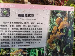-中国科学院西双版纳热带植物园