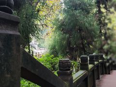 -青城山