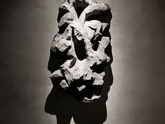 -CHIC1699远洋私厨