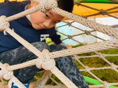 -郑州方特梦幻王国