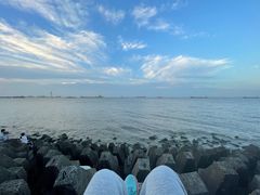 -上海滨江森林公园
