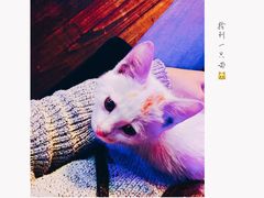 -星宿秘码(鼓浪屿老店)