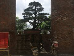-石岐乳鸽村(南海第三分店)