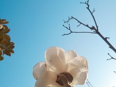 -浮山香苑