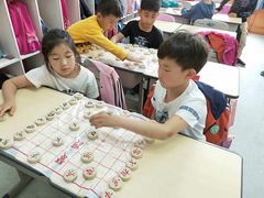 -常青藤国际象棋(新奥店)