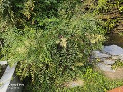 -广州神农草堂中医药博物馆