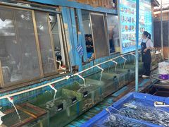-蓝湾碧波·老字号·疍家非遗海上餐厅