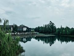 -白鹭湾湿地公园
