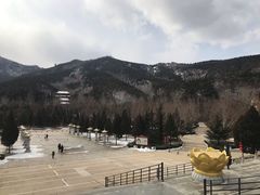 -龙口南山旅游景区