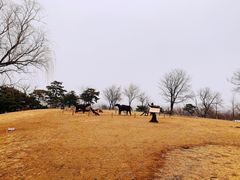 -北京西山国家森林公园