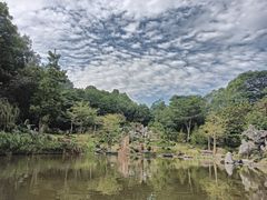 -东莞植物园