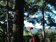 -国家植物园南园