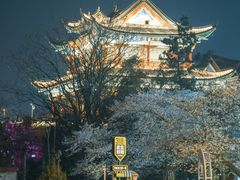 -西北湖绿化广场