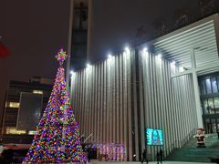 -海淀教堂教堂婚礼