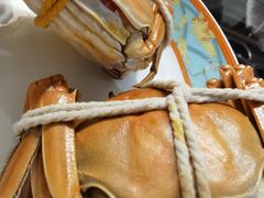 -阳澄湖大闸蟹·琼灵阁牌品牌连锁(吴中总店)