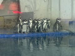 -太平洋海底世界