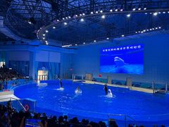 -石家庄极地海洋世界